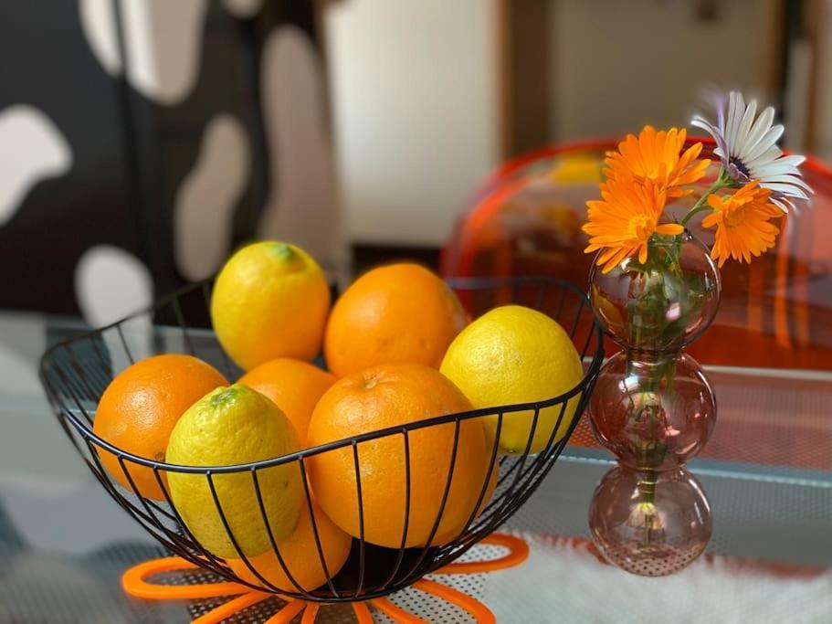 Bilbo Near Atico Rural Con Terraza Διαμέρισμα Μπασάουρι Εξωτερικό φωτογραφία