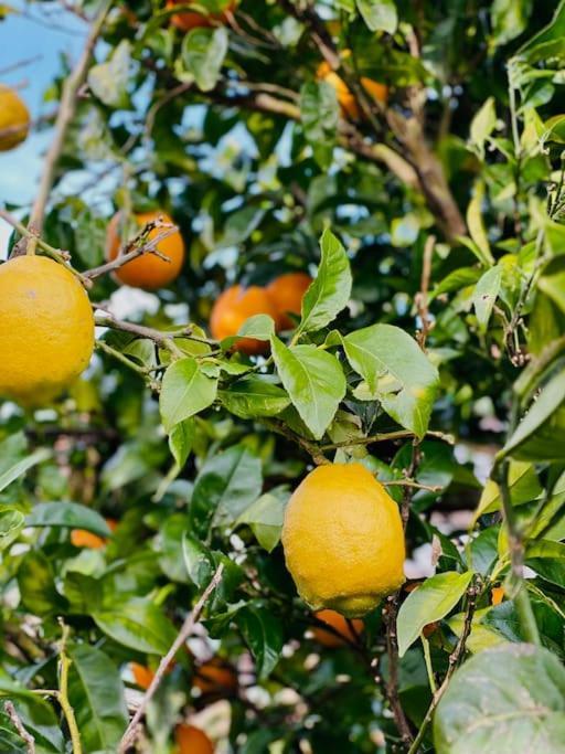 Bilbo Near Atico Rural Con Terraza Διαμέρισμα Μπασάουρι Εξωτερικό φωτογραφία